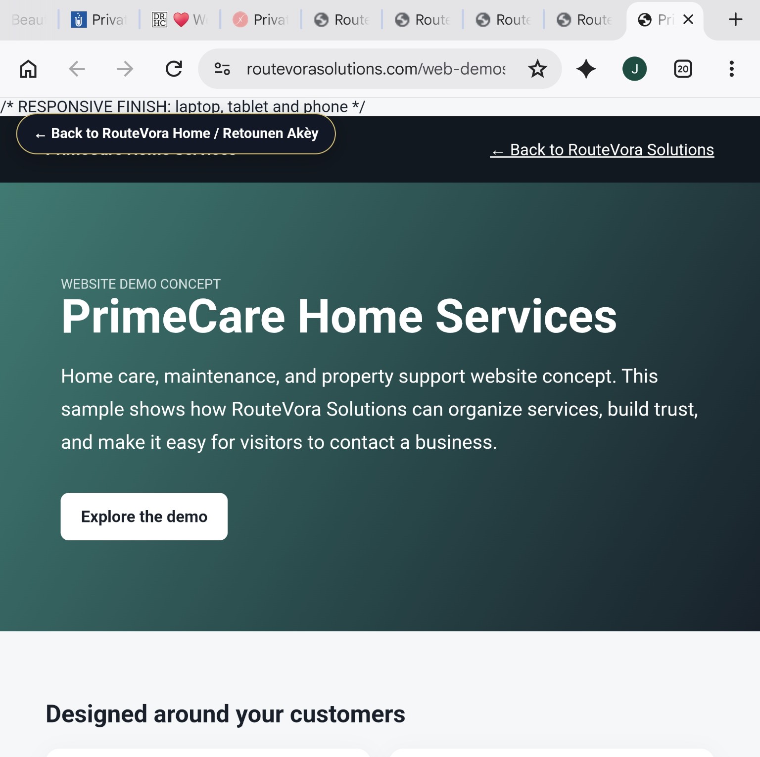 Professional service support